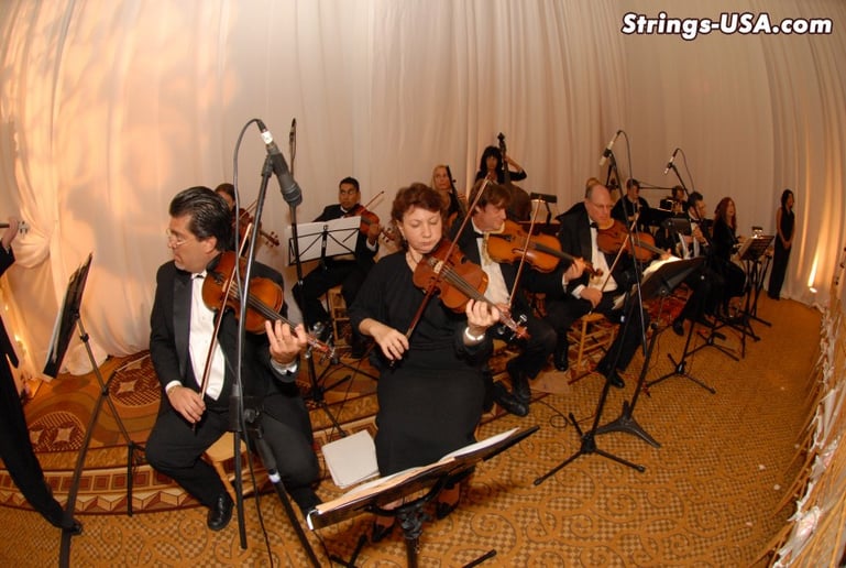 Gallery photo 6 of Strings-USA