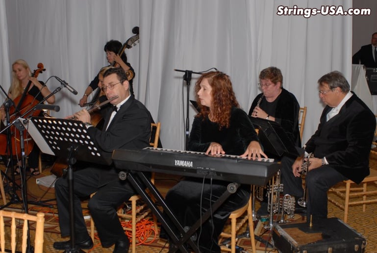 Gallery photo 7 of Strings-USA