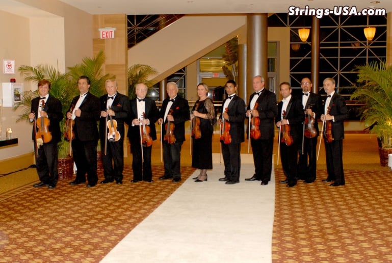 Gallery photo 8 of Strings-USA