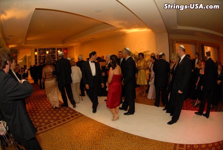 Gallery photo 9 of Strings-USA