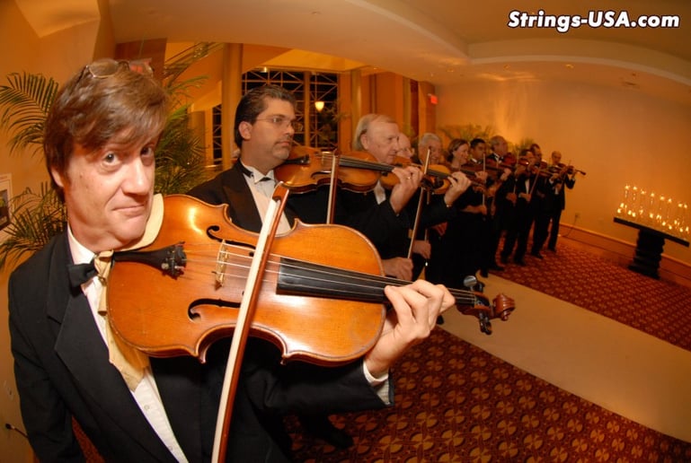 Gallery photo 10 of Strings-USA