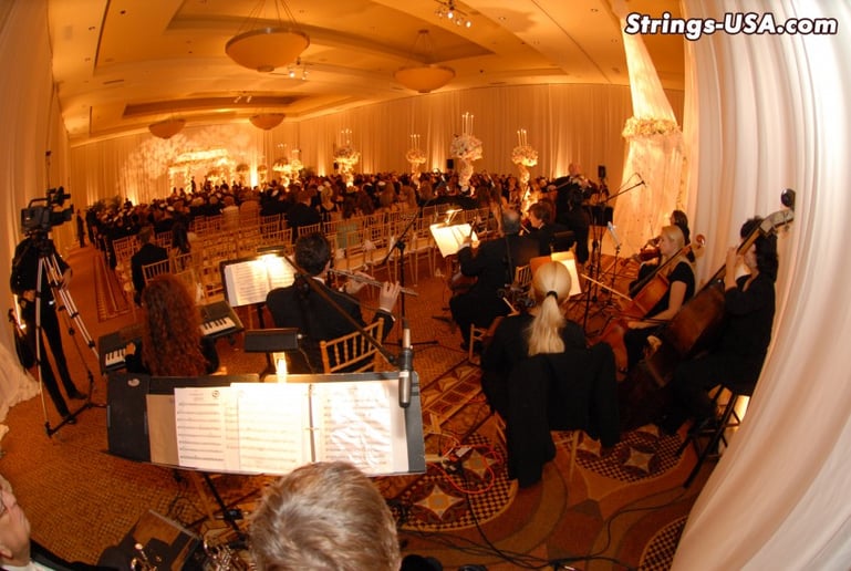 Gallery photo 11 of Strings-USA