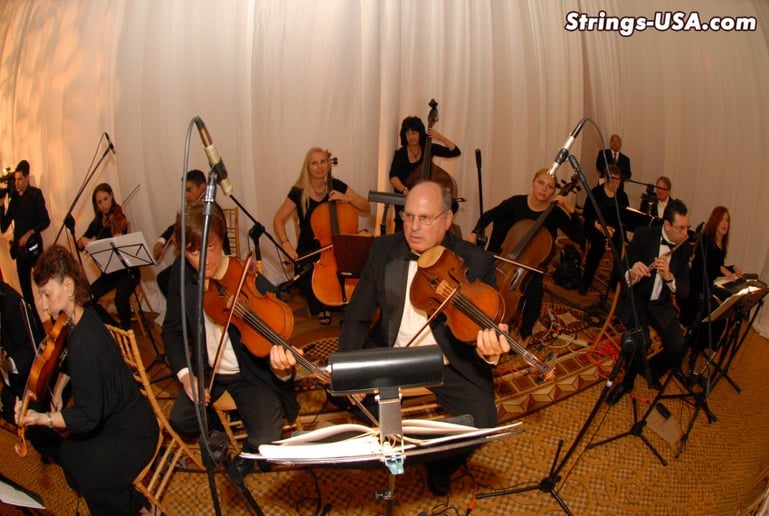 Gallery photo 12 of Strings-USA