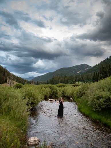 Gallery photo 6 of First String Violinist