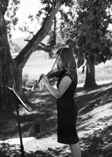 Gallery photo 3 of First String Violinist