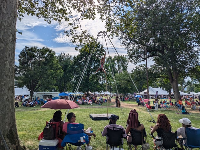 Gallery photo 2 of Suspended Animation Aerials