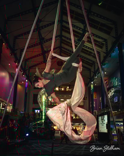 Gallery photo 4 of Suspended Animation Aerials