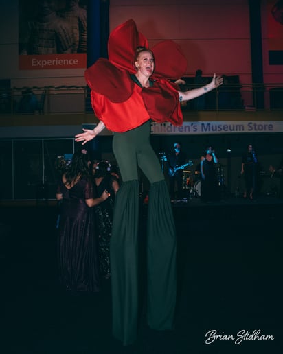 Gallery photo 5 of Suspended Animation Aerials