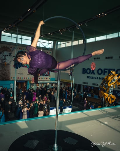 Gallery photo 7 of Suspended Animation Aerials