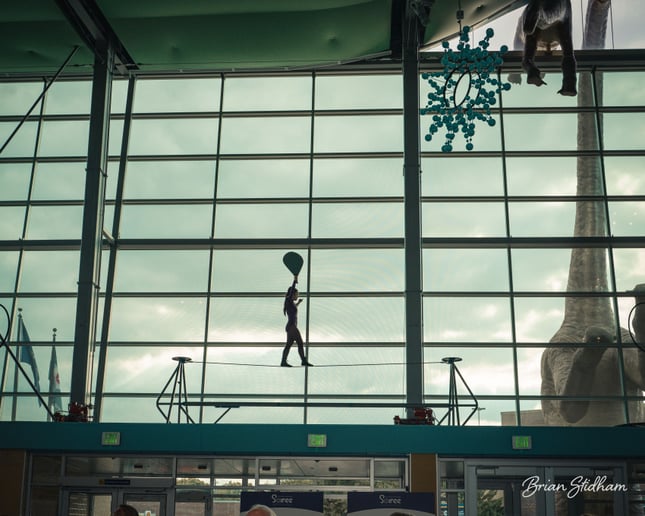 Gallery photo 8 of Suspended Animation Aerials