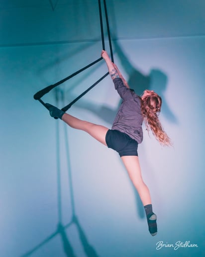 Gallery photo 9 of Suspended Animation Aerials