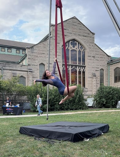 Gallery photo 10 of Suspended Animation Aerials