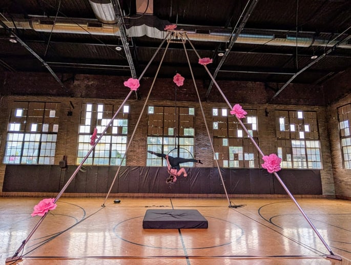 Gallery photo 11 of Suspended Animation Aerials