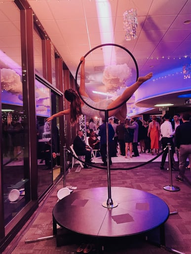 Gallery photo 12 of Suspended Animation Aerials