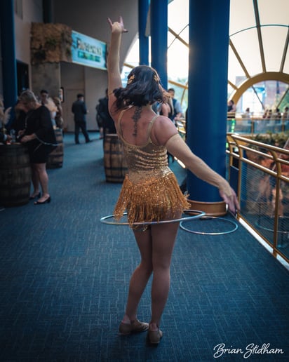 Gallery photo 13 of Suspended Animation Aerials