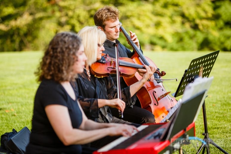 Gallery photo 2 of Sweet Harmony Live Music