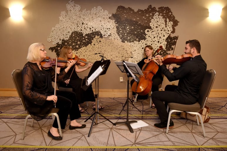 Gallery photo 5 of Sweet Harmony Live Music