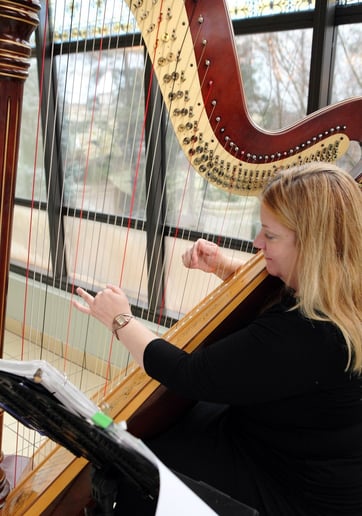 Gallery photo 6 of Sweet Harmony Live Music