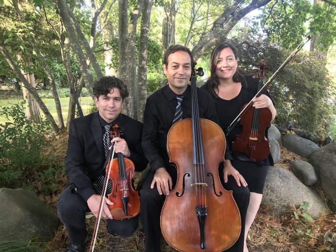 Gallery photo 1 of Sweet Harmony Live Music