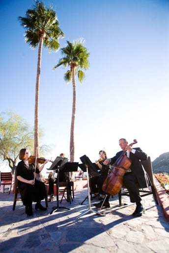 Gallery photo 4 of Sweetwater Strings