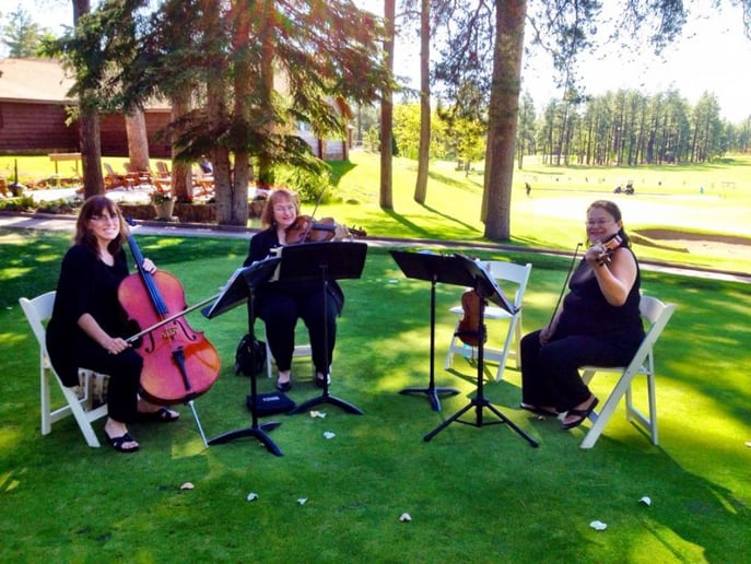 Gallery photo 6 of Sweetwater Strings