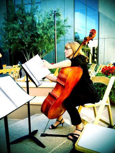 Gallery photo 9 of Sweetwater Strings