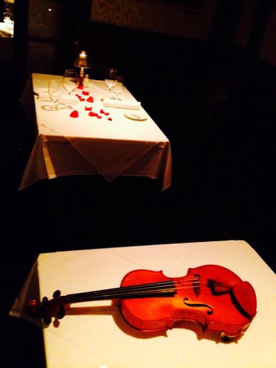 Gallery photo 10 of Sweetwater Strings