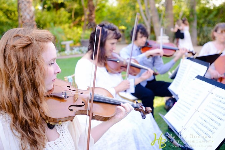 Gallery photo 12 of Sweetwater Strings