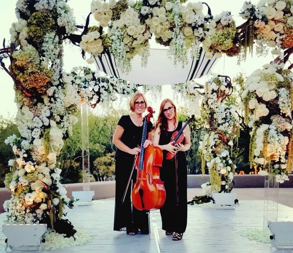 Gallery photo 16 of Sweetwater Strings