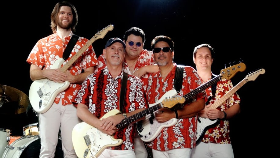 Gallery photo 1 of Woodie and the Longboards