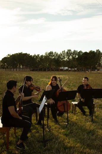 Gallery photo 1 of The Amore Strings