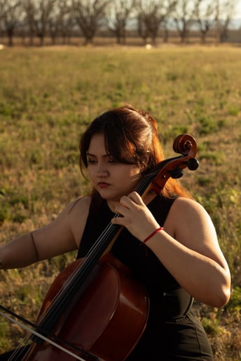 Gallery photo 2 of The Amore Strings
