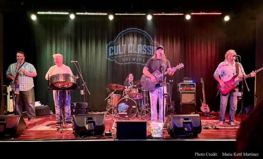 Gallery photo 1 of The Chris Sacks Band