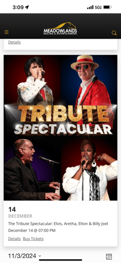 Gallery photo 6 of The Experience Elvis Tribute