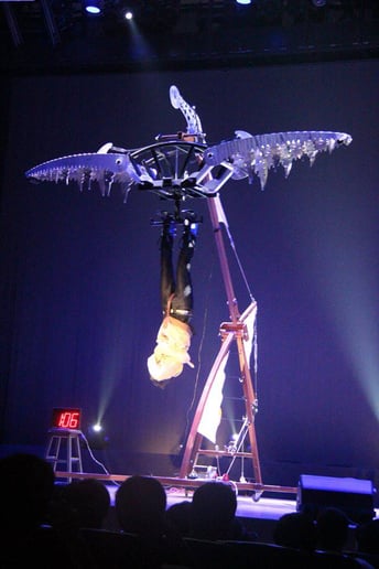 Gallery photo 6 of The Extreme Magic Of Eric Wilzig