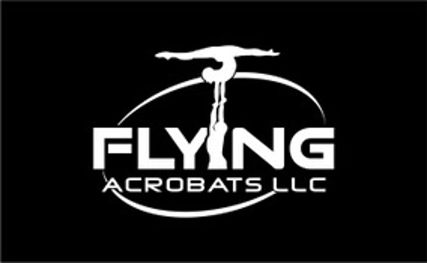 Gallery photo 5 of The Flying Acrobats