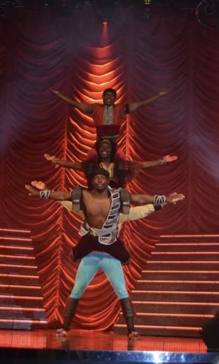 Gallery photo 7 of The Flying Acrobats