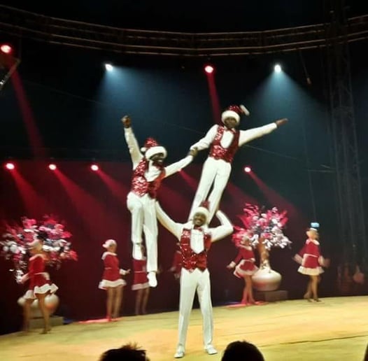 Gallery photo 8 of The Flying Acrobats