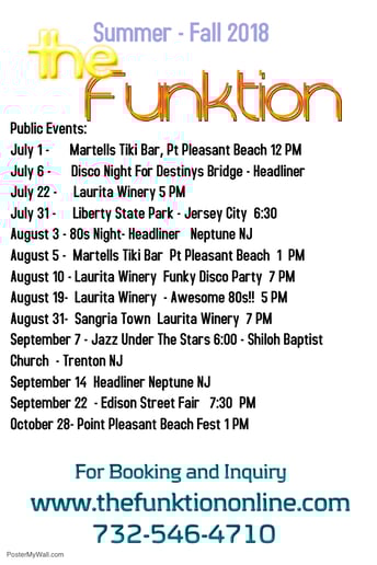 Gallery photo 2 of The Funktion Band