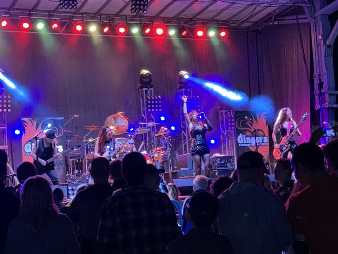 Gallery photo 1 of The Gingers - Redheads that Rock!