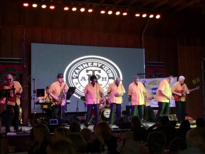 Gallery photo 23 of The Gold Standard Band