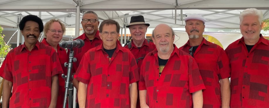 Gallery photo 5 of The Gold Standard Band