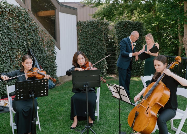 Gallery photo 1 of Golden Hour Strings