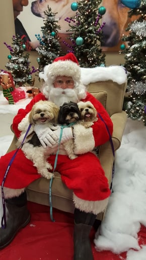 Gallery photo 8 of The Happy Store