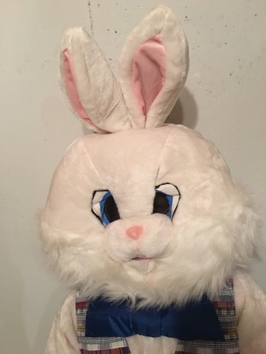 Gallery photo 9 of The Happy Store