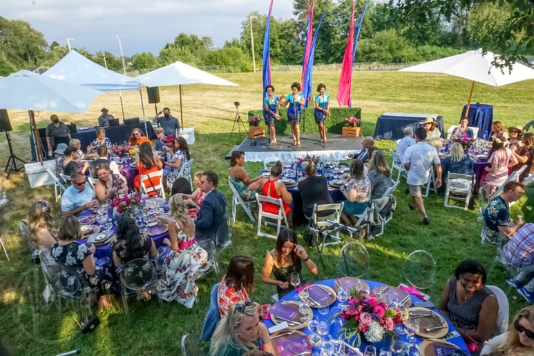 Gallery photo 5 of The Jewel Tones