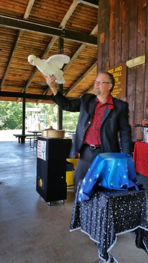 Gallery photo 1 of The Magical World of Dave