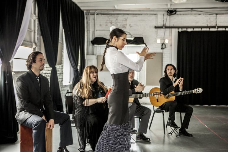 Gallery photo 2 of The Martin Metzger Flamenco Ensemble