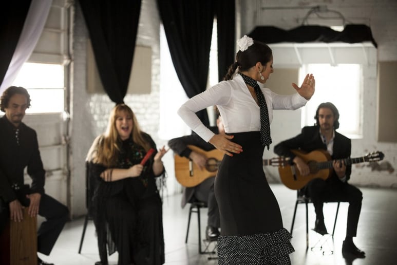 Gallery photo 3 of The Martin Metzger Flamenco Ensemble