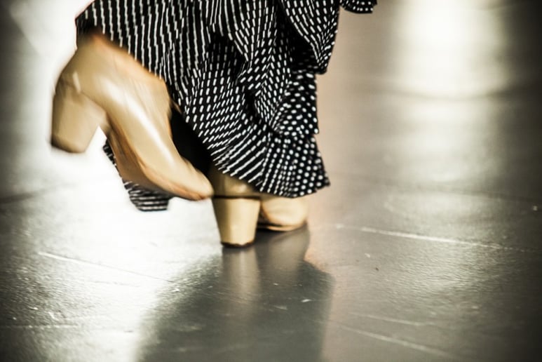 Gallery photo 4 of The Martin Metzger Flamenco Ensemble